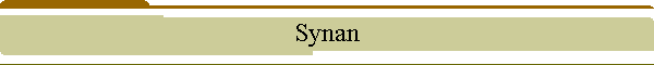 Synan